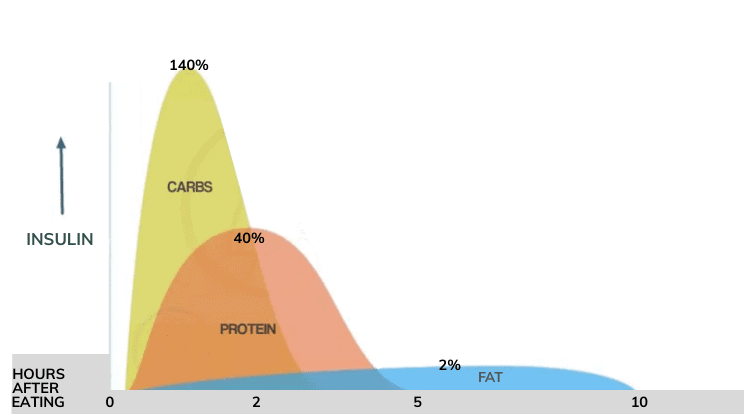 https://www.castleinthemountains.com/wp-content/uploads/2018/11/Bulletproof-Coffee-Insulin-Graph.png