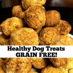 Grain Free healthy Dog Treats recipe