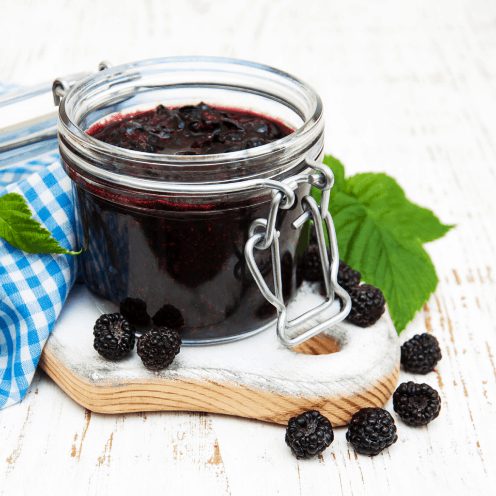 Keto Chia Blackberry Jam Castle in the Mountains