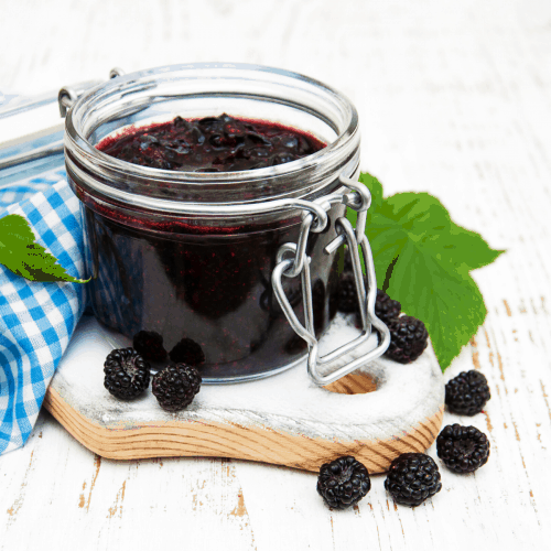 Keto Chia Blackberry Jam - Castle in the Mountains
