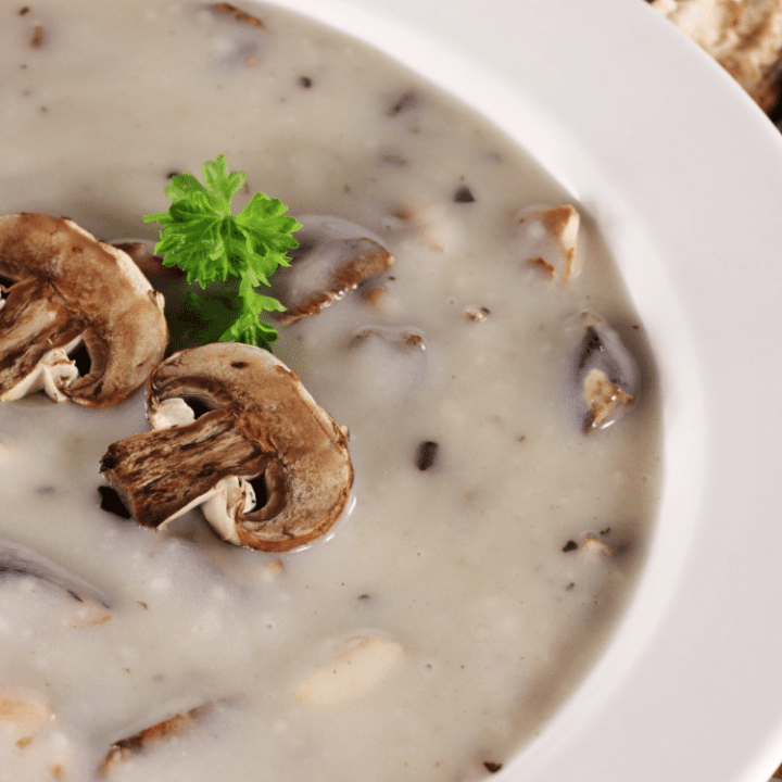 Low Carb Cream of Mushroom Soup - Castle in the Mountains
