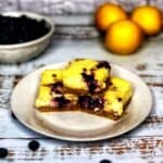 Low Carb Blueberry lemon Bars FI