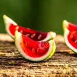 Low Carb Jello Shots FI
