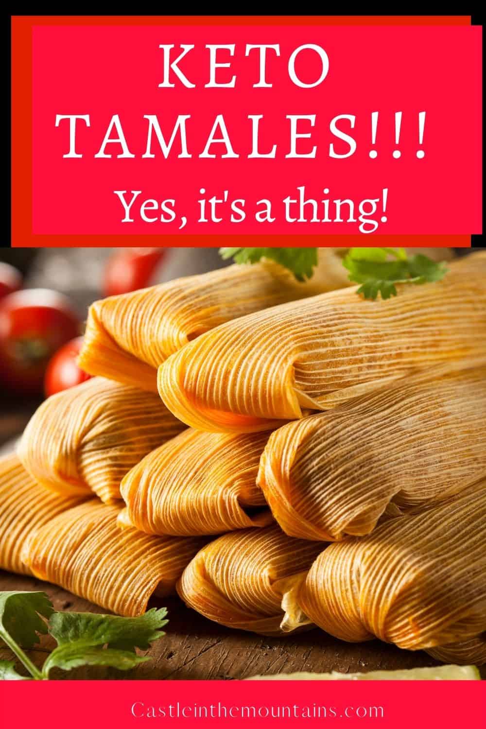 LowCarb Keto Tamales Recipe Castle in the Mountains