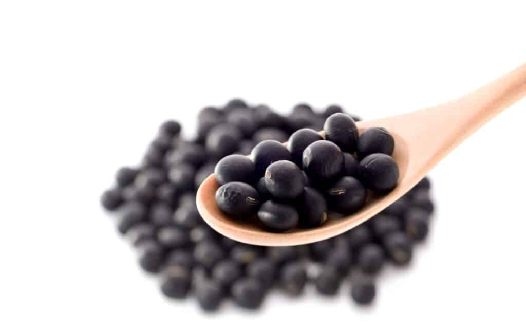 Keto Chili with Low Carb Beans- Castle in the Mountains