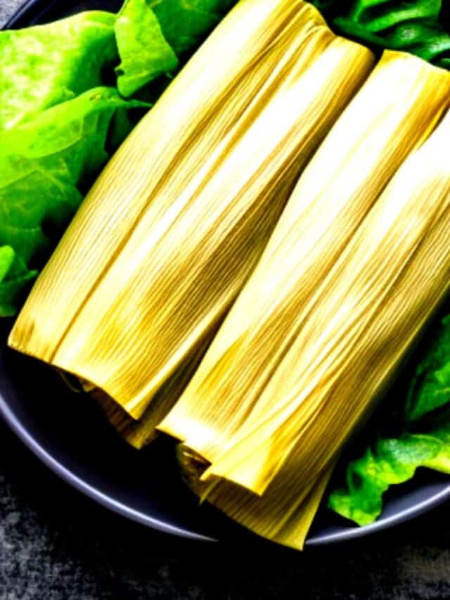 Keto Tamales Recipe Castle in the Mountains